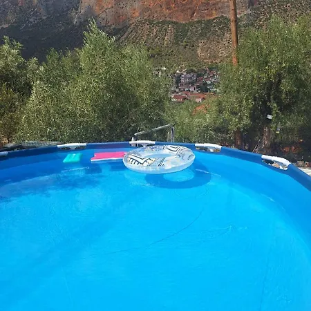 Metaxias House * Leonídion